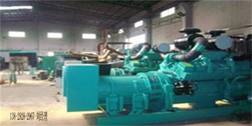 河源源城发电机租赁、生产组装及配件维修服务全解析